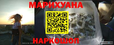 сатива Будённовск