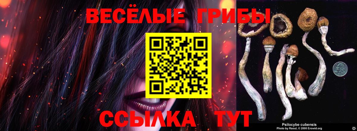 Галлюциногенные грибы прущие грибы  Галлюциногенные грибы Cubensis  Чусовой  Вход с VPN 